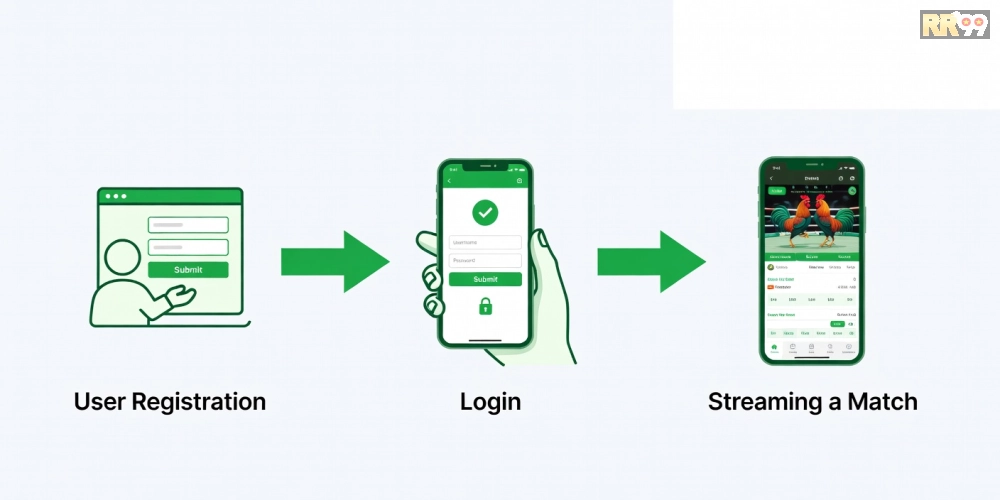 Hướng dẫn từng bước đăng ký và sử dụng dịch vụ xem đá gà trực tiếp casino.