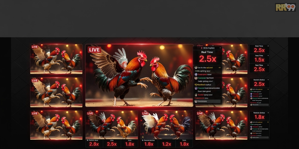 Giao diện trang chủ xem đá gà trực tiếp rr99 với các trận đấu nổi bật